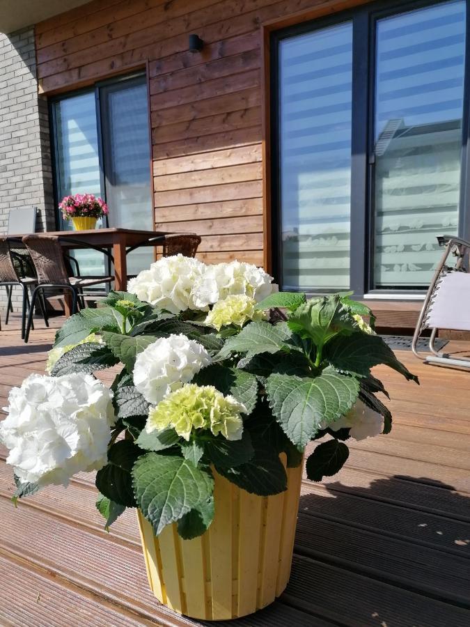 Geltoni Apartamentai Palanga Exterior foto