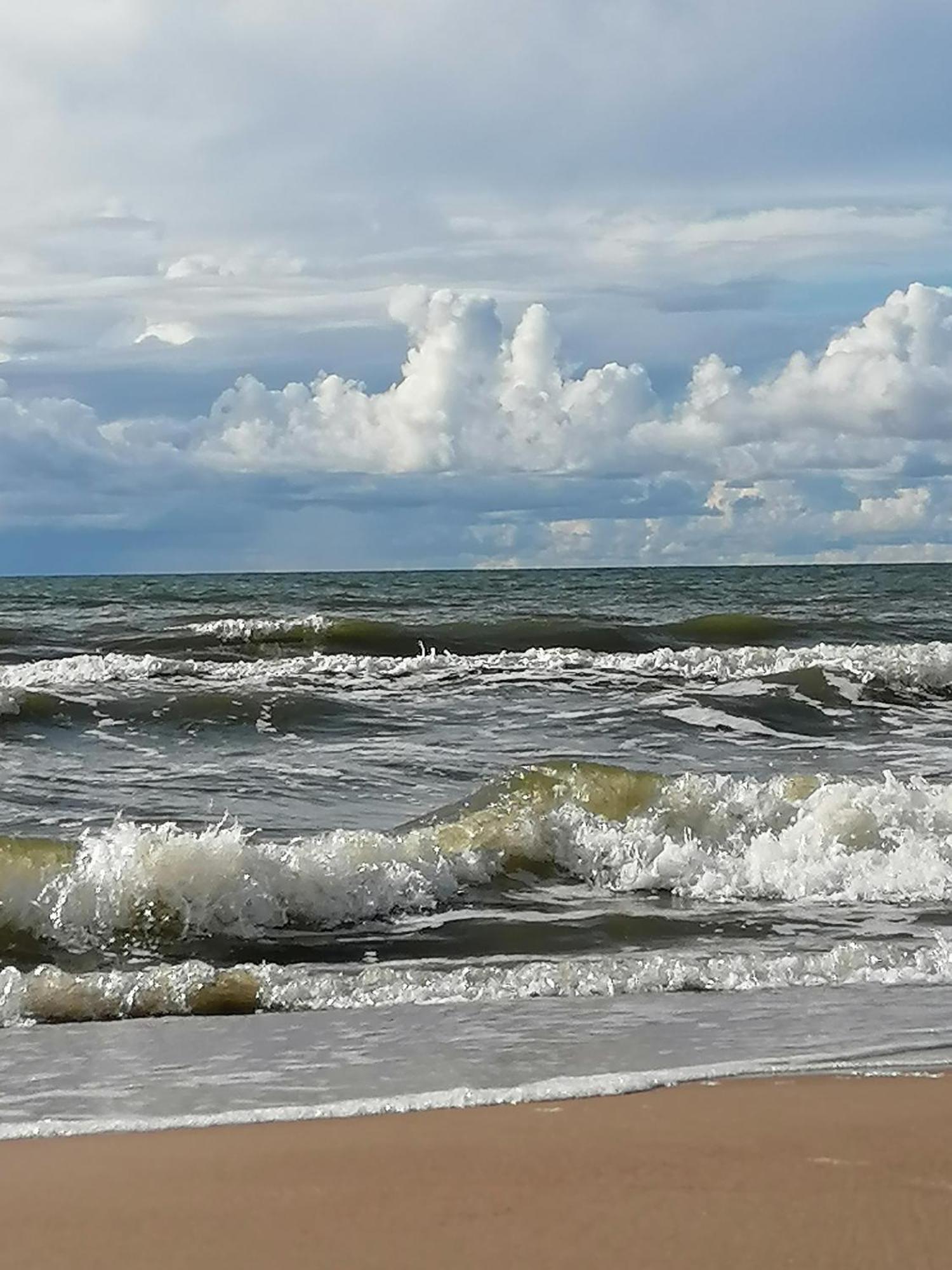 Geltoni Apartamentai Palanga Exterior foto